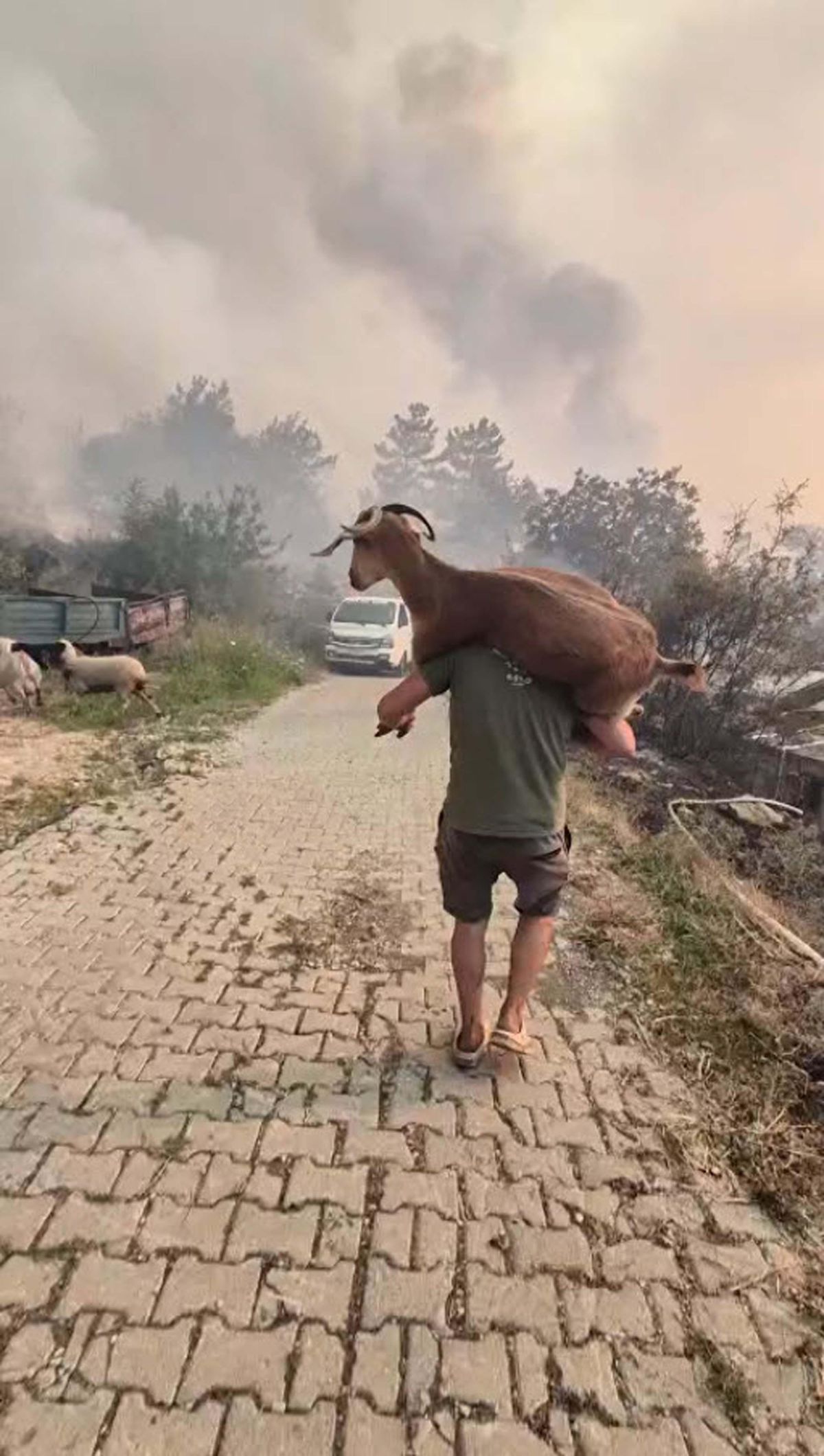 Muğla Seydikemer'deki orman yangınına havadan müdahale yeniden başladı
