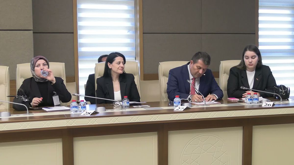 Okul Olaylarını ve Dijital Riskleri Araştırma Komisyonu'nda öğrenciler konuştu: Bir arkadaşımız zorbalığa, şantaja ve siber zorbalığa uğradığında ne yapacağını bilemiyor
