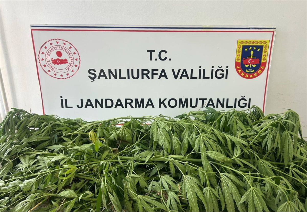 Şanlıurfa'da uyuşturucu operasyonunda 1 şüpheli yakalandı