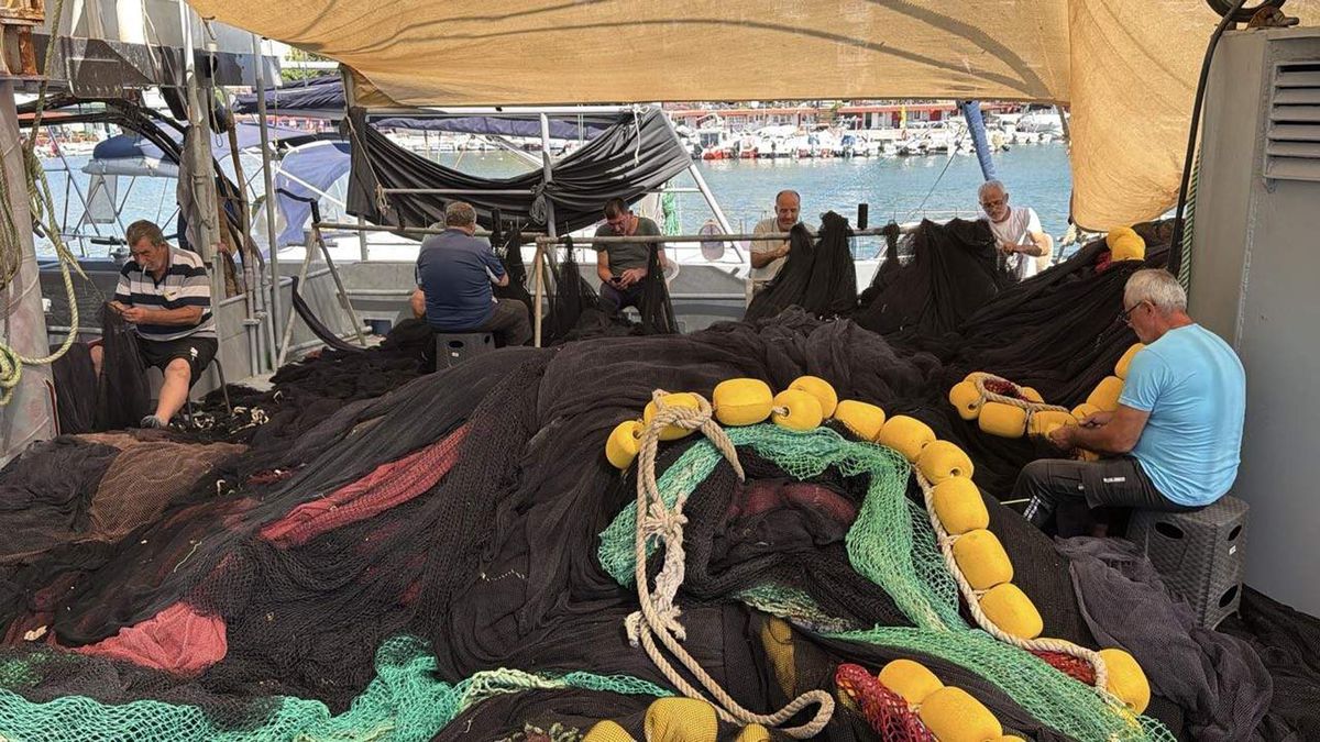 Tekirdağlı balıkçılar yeni sezondan umutlu: Palamut müjdesi aldık