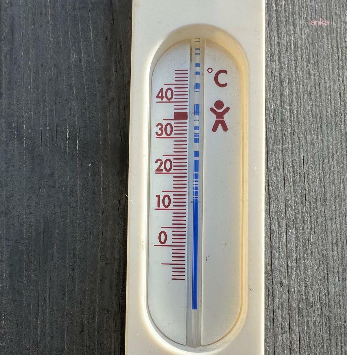Almanya'da bu yıl sıcaklığa bağlı ölümlerin 9 bin 800'e ulaştığı tahmin ediliyor