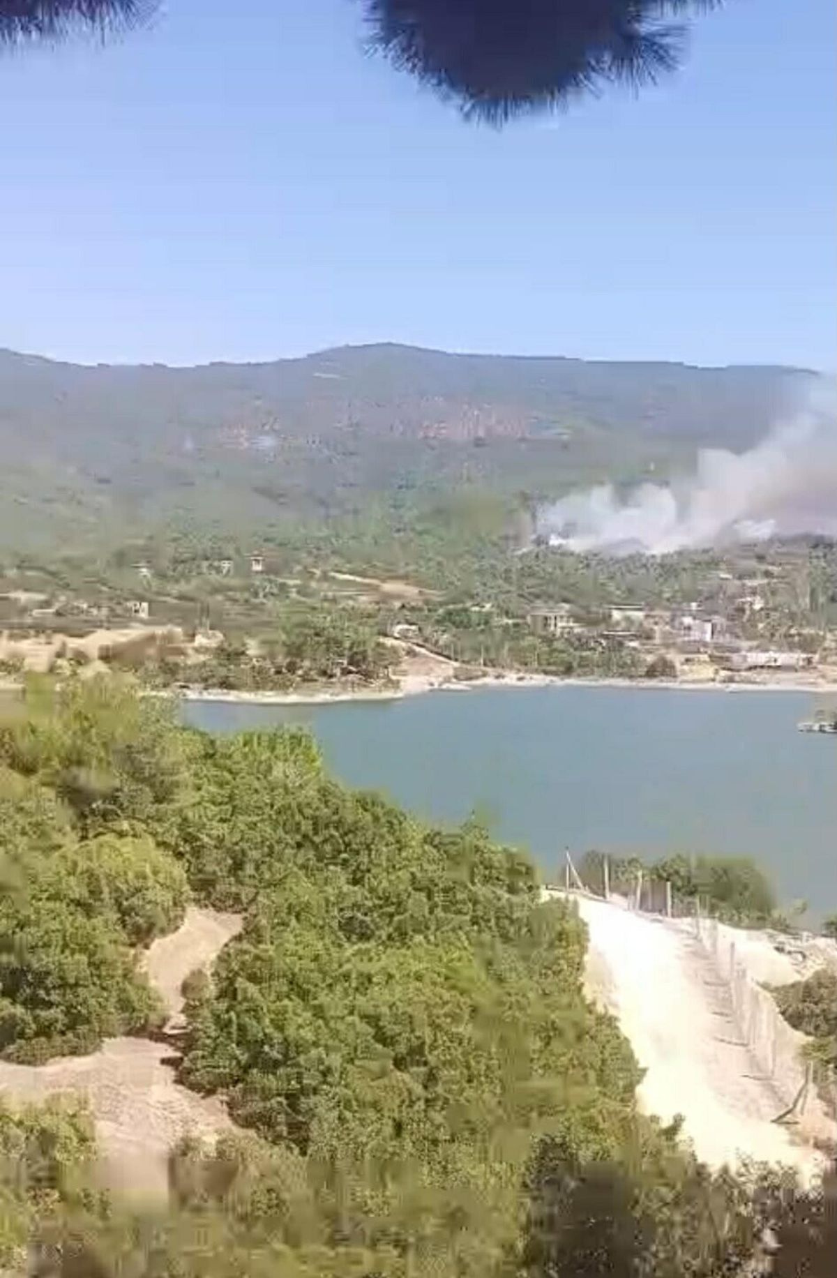 Aydın'daki orman yangınına havadan müdahale yeniden başladı