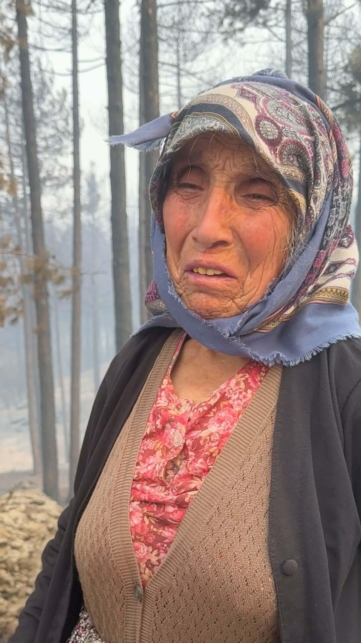 Aydın'daki orman yangınına havadan müdahale yeniden başladı