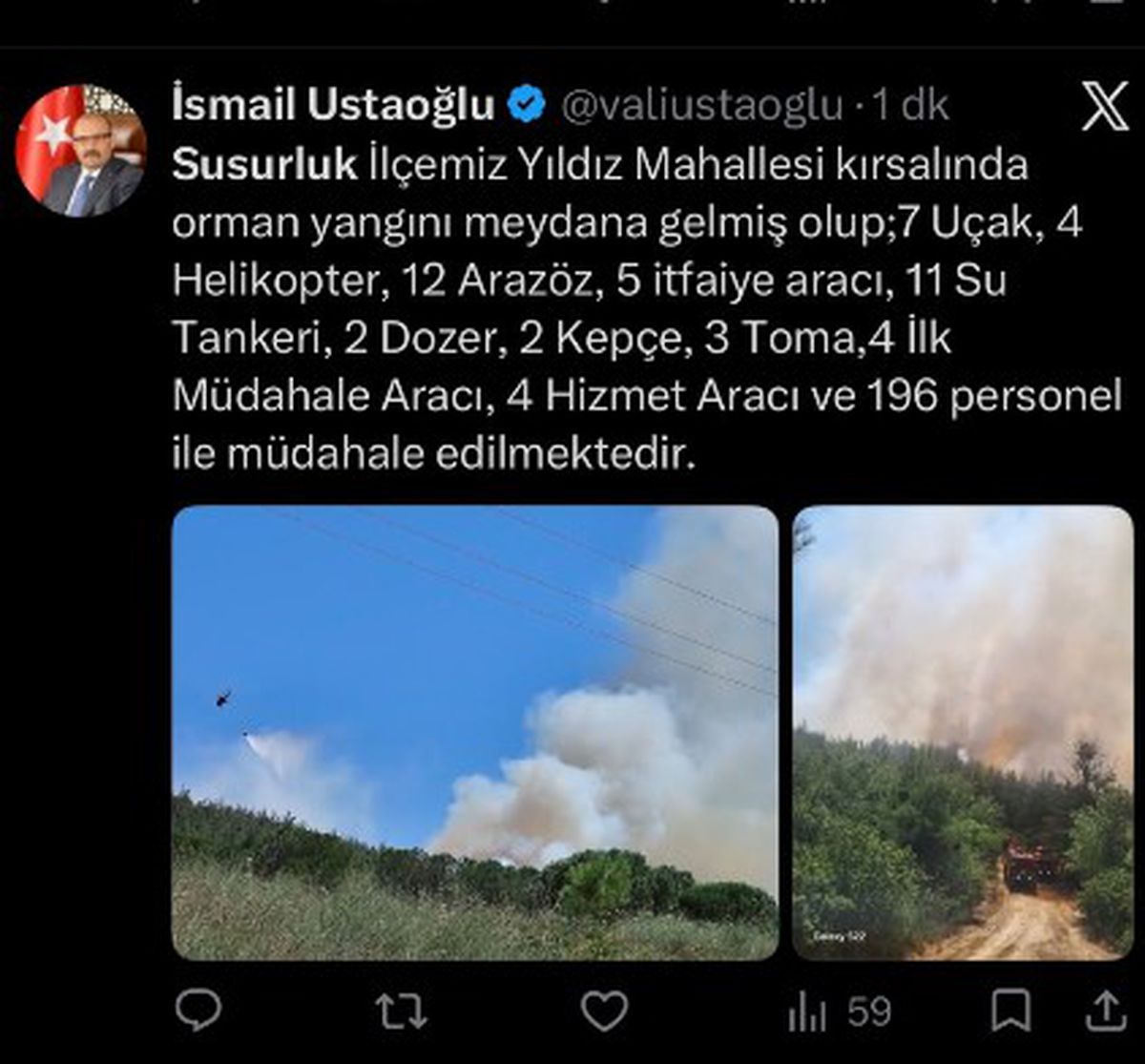 Balıkesir Susurluk'ta orman yangını