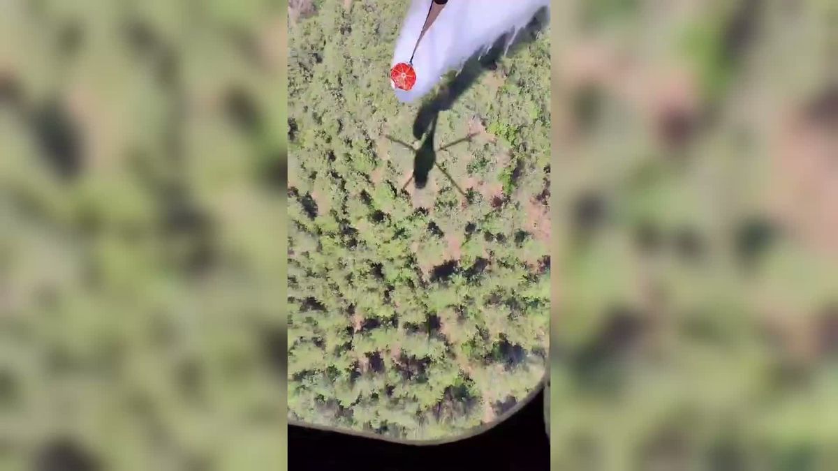 Balıkesir Susurluk'ta orman yangınına havadan ve karadan müdahale
