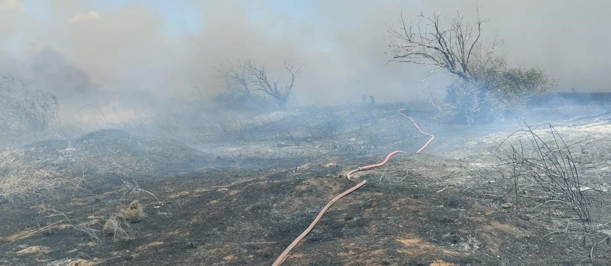 Bandırma’da arazi yangını kısa sürede söndürüldü