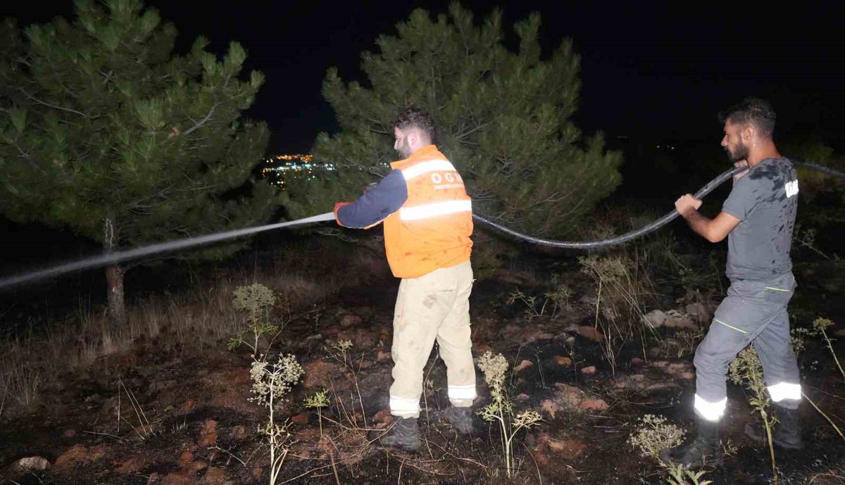 Bir kuş çam ormanlarını alevlerin eşiğine getirdi: Yangın büyümeden söndürüldü