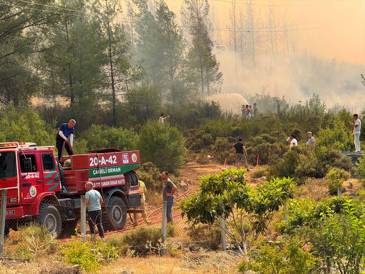 Fethiye'de orman yangını çıktı