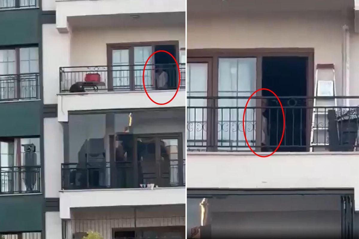 Gaziantep'te mide bulandıran görüntü! Kameraya alan komşularına aldırış etmedi