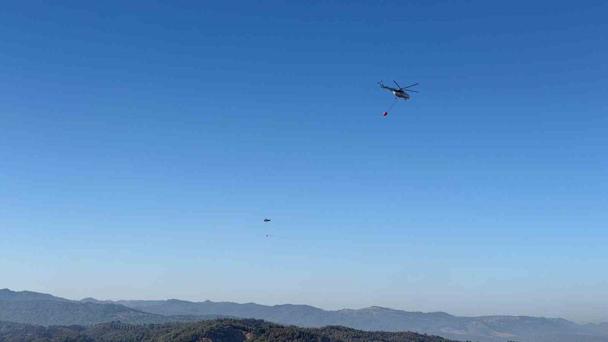 Gömeç, Ayvalık ve Bergama’da binlerce hektar ağacı kül eden yangın kontrol altına alındı