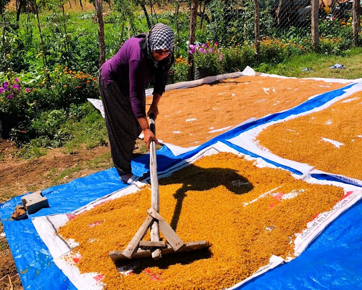 Kahramanmaraş’ta kışlık telaşı