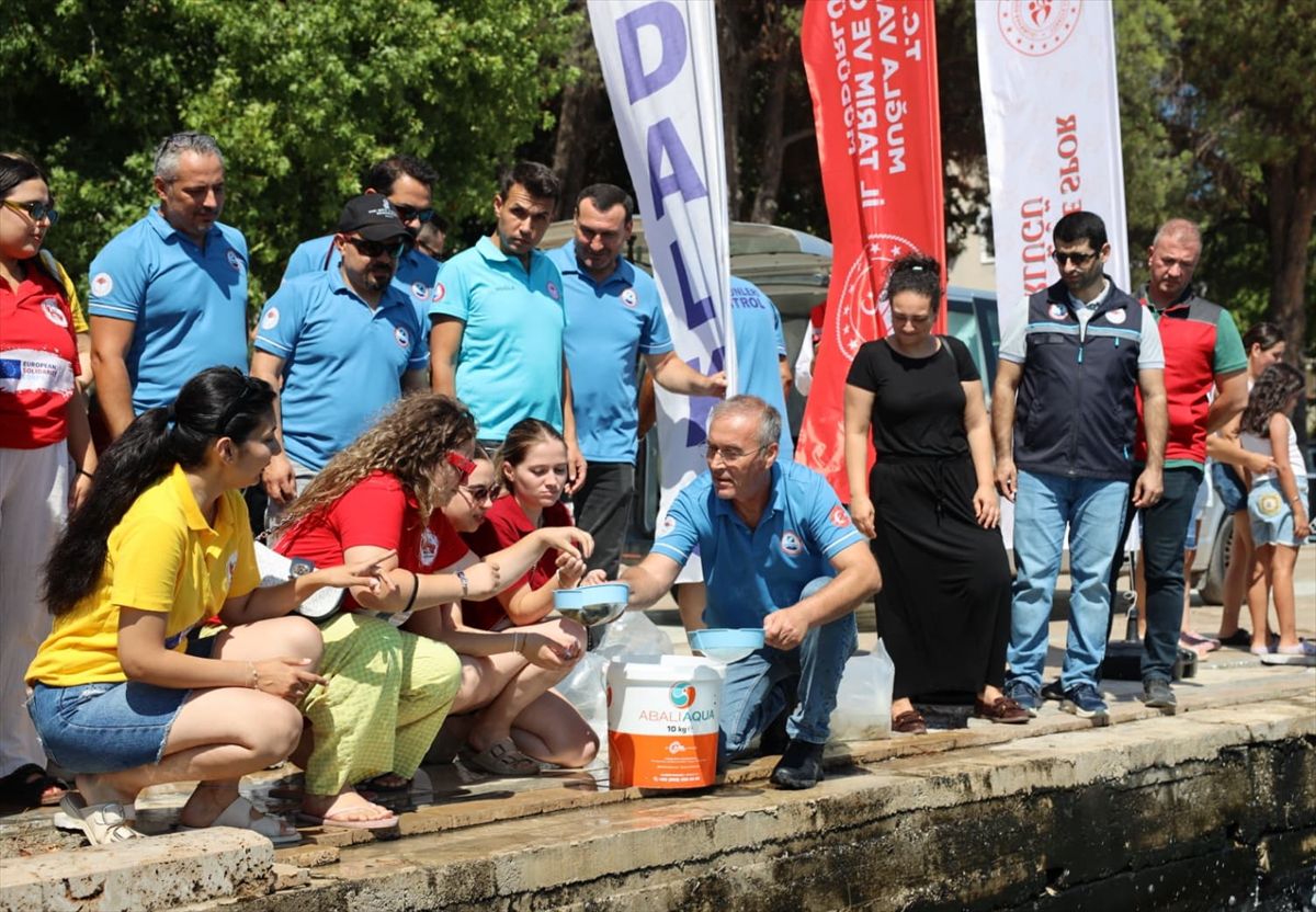 Köyceğiz Gölü'nde 100 bin sazan yavrusu suya bırakıldı