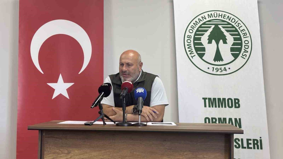 Orman Mühendisleri Odası Genel Başkanı Hasan Türkyılmaz: 'Türkiye Amerika’dan bile başarılı bir yangın mücadele modeli ve modülasyonu uyguluyor'