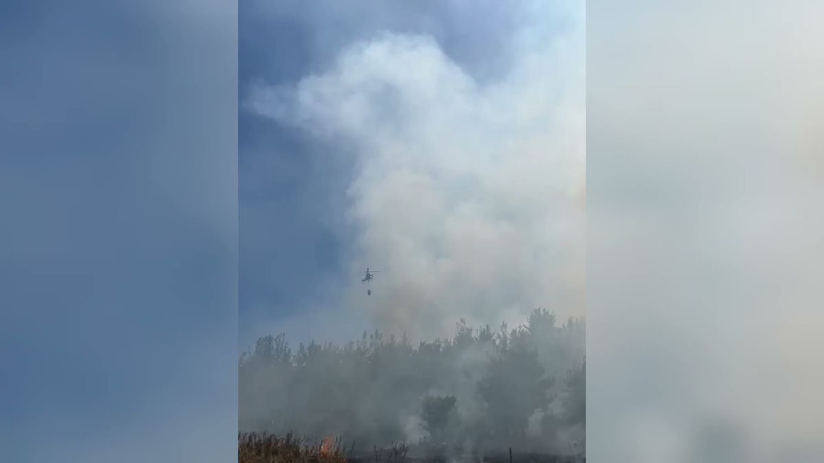 Osmaniye'nin Cebel Yaylası'nda orman yangını çıktı