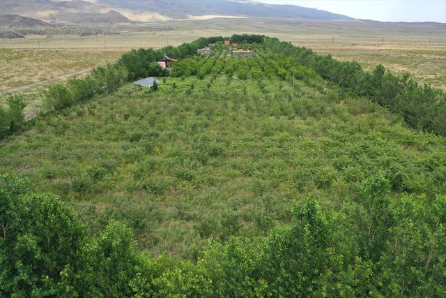 agri dagi nin yakinlarindaki corak araziye ku 4 20108326 o