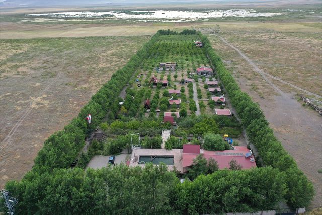 agri dagi nin yakinlarindaki corak araziye ku 5 20108326 o