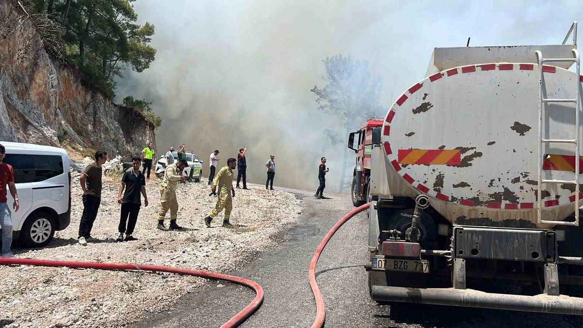 Alanya’da orman yangını
