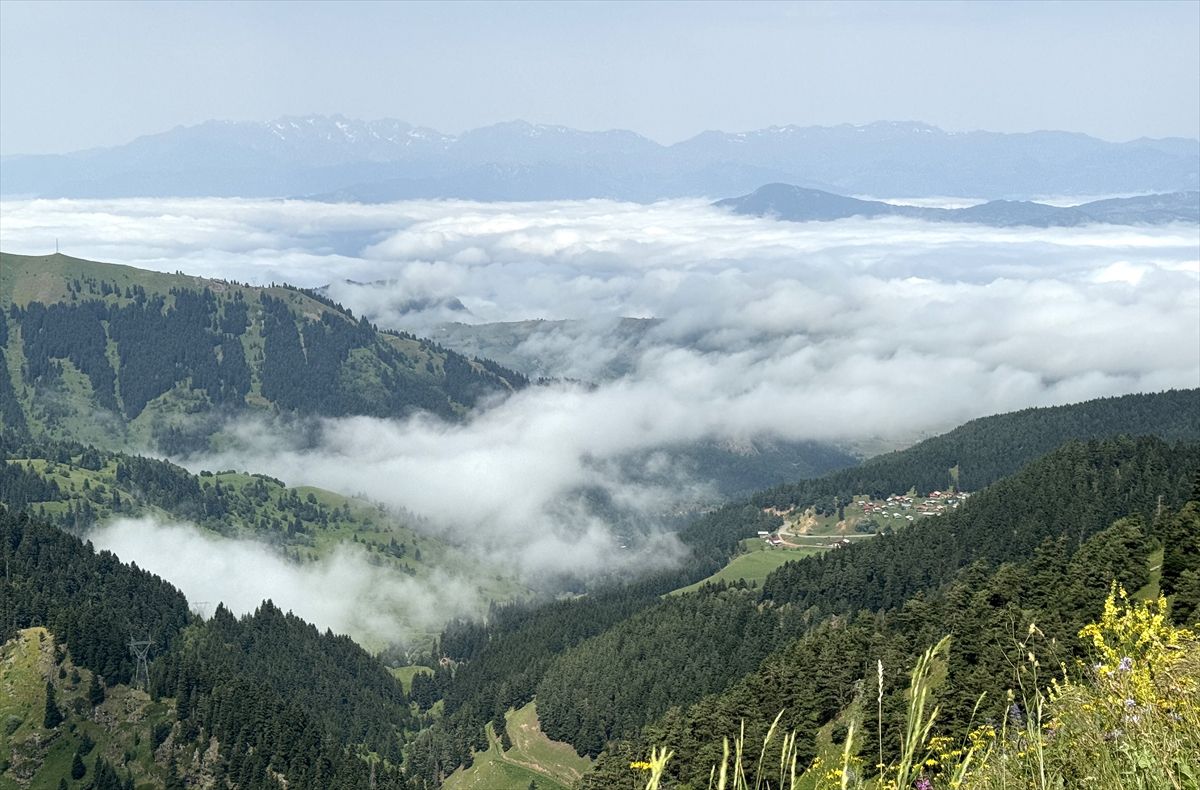 Artvin'de yüksek kesimlerde sis etkili oldu