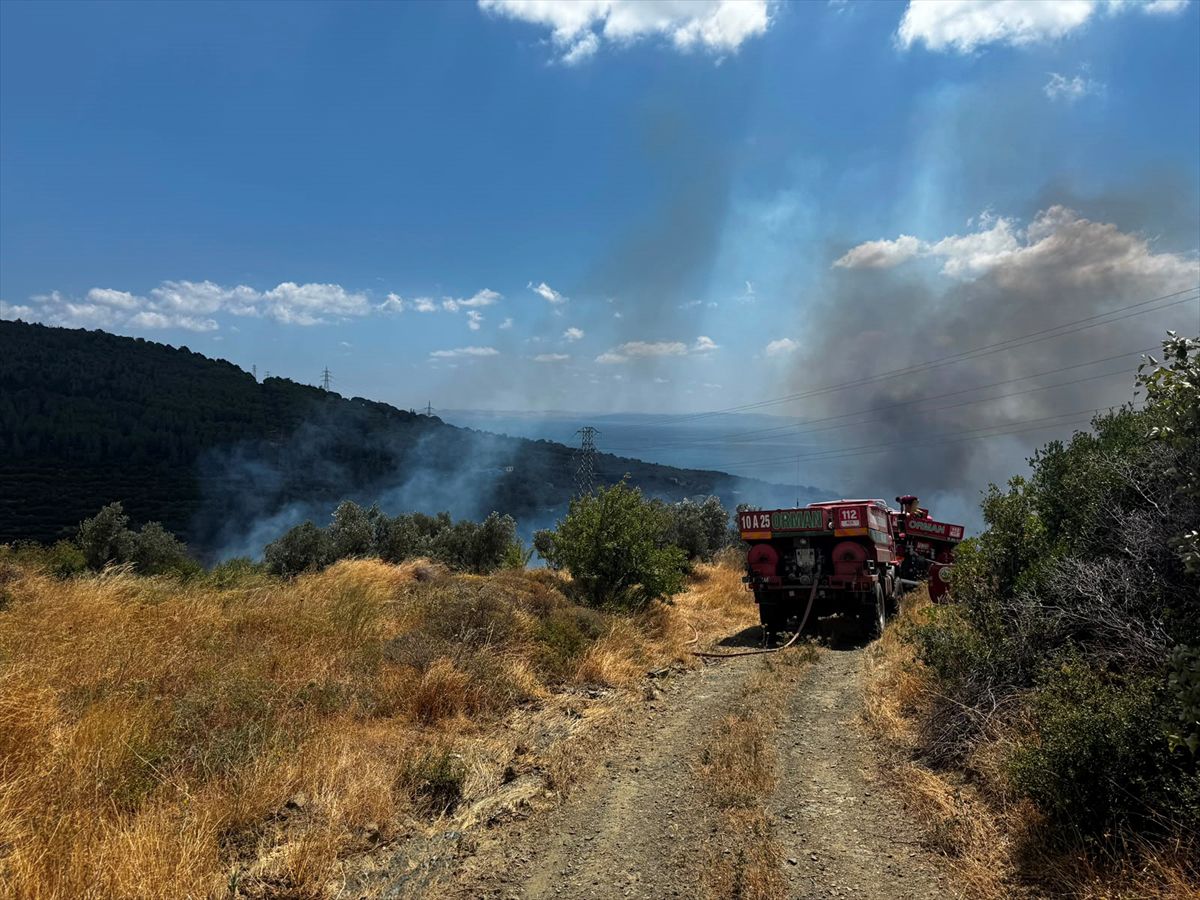 Balıkesir'in Erdek ilçesinde makilik ve zeytinlik alanda yangın çıktı