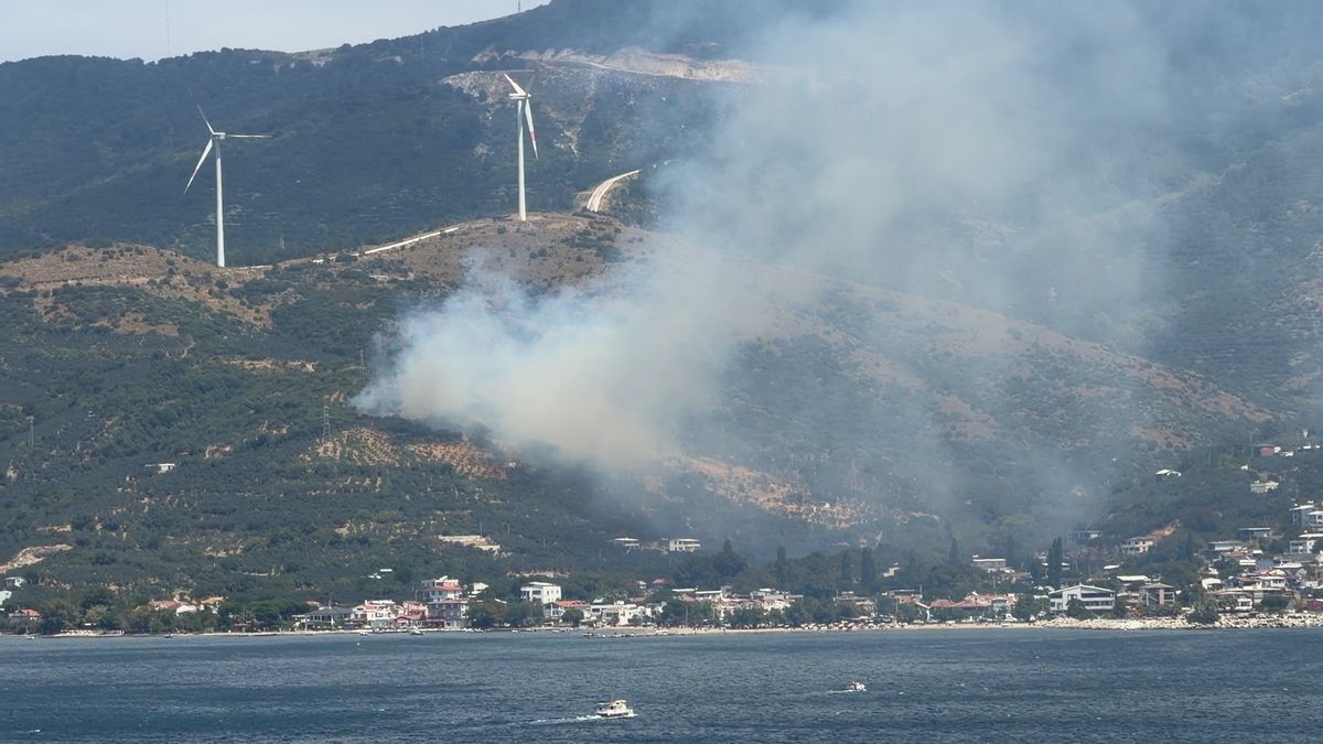 Erdek'te orman yangını