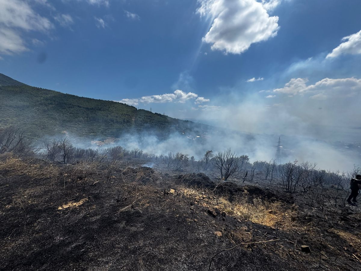 Erdek'te zeytinlik ve makilik alanda yangın- Yeniden