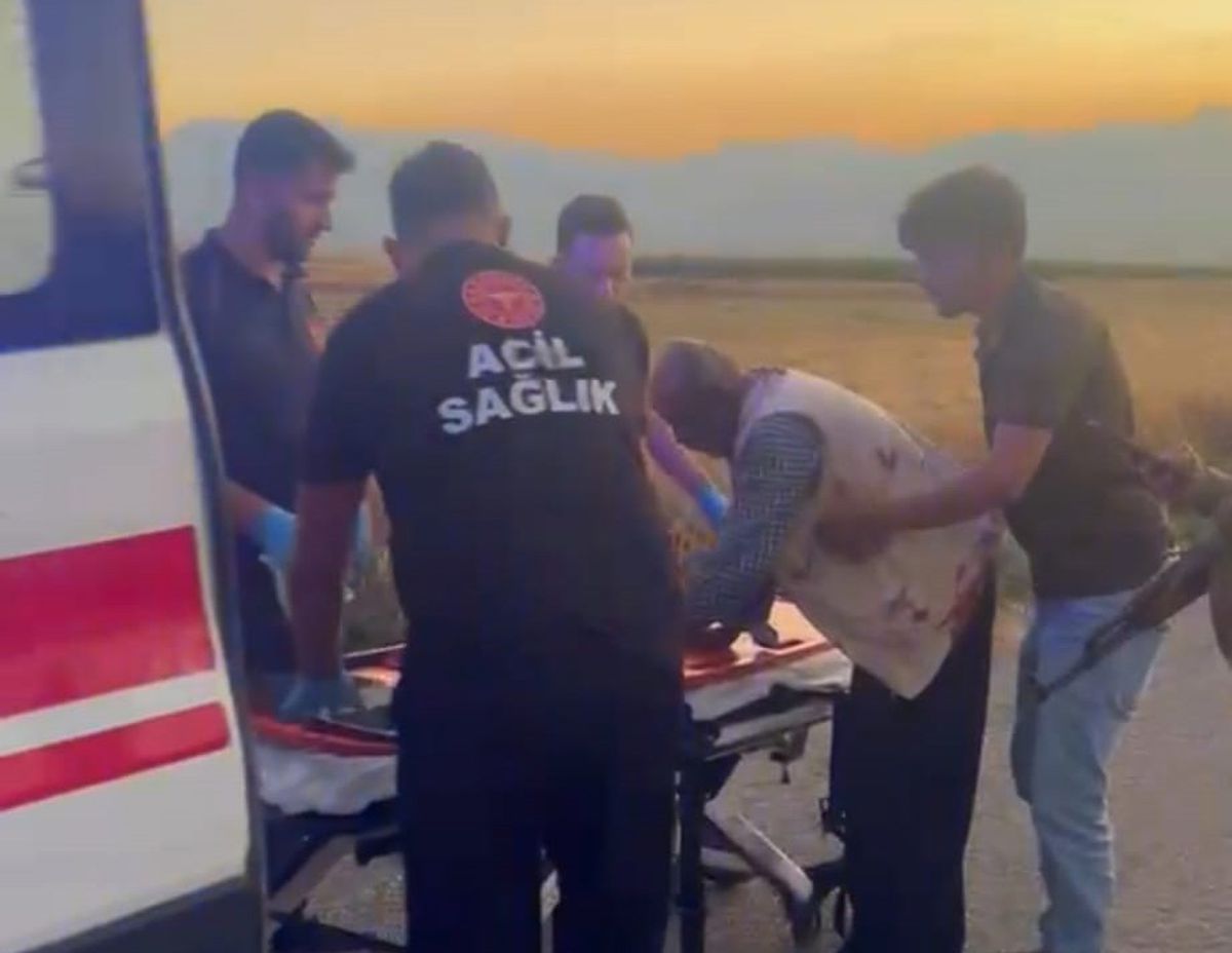 Gaziantep’te hayvan otlatma kavgası; 2 yaralı