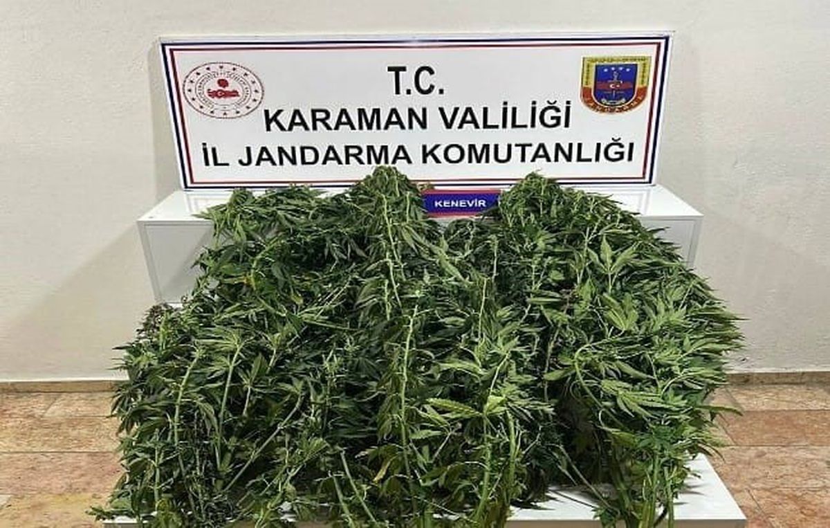 Karaman’da jandarmanın yakaladığı 44 şahıstan 9’u tutuklandı