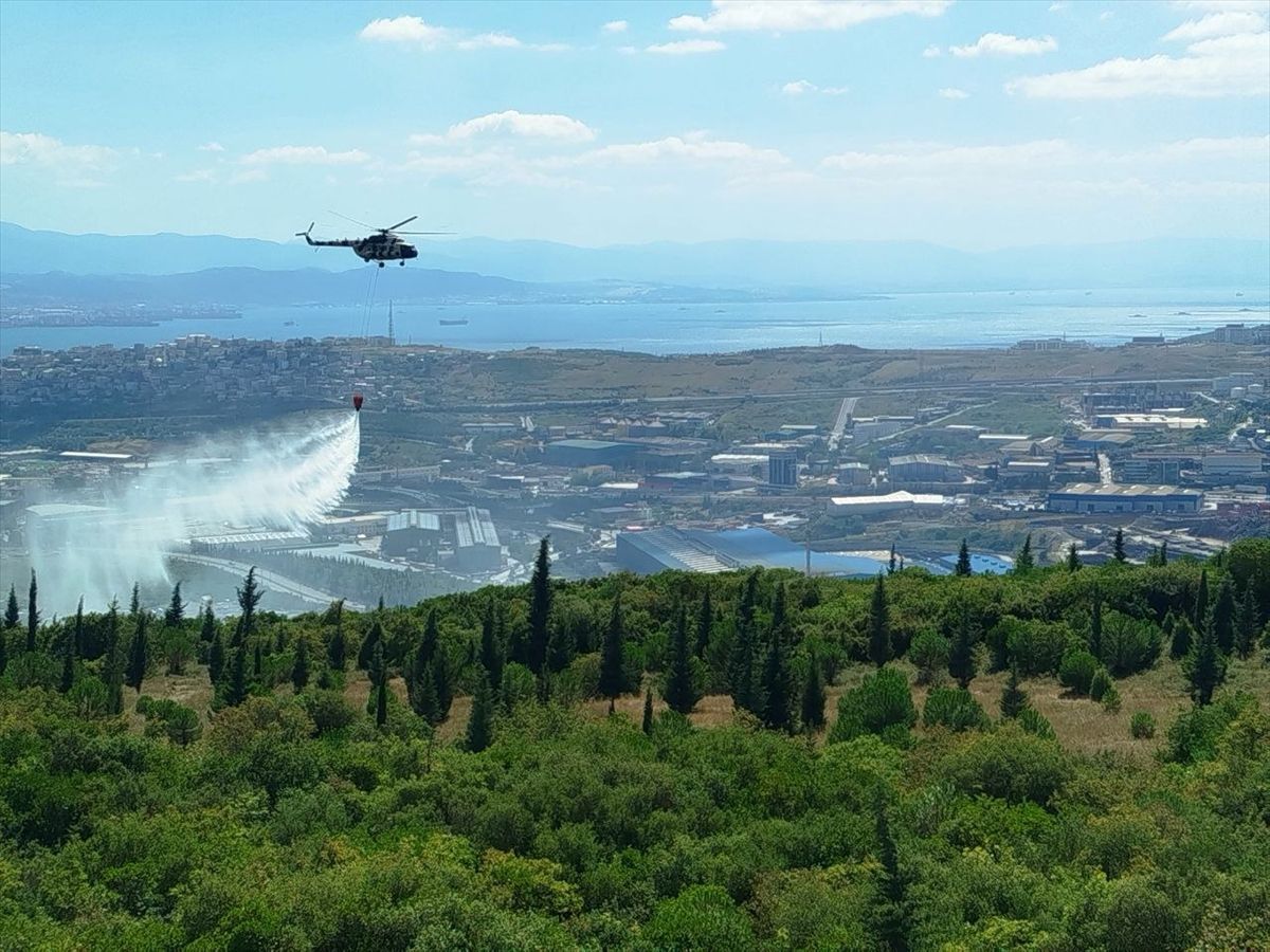 Kocaeli'de ormanlık alanda çıkan yangına müdahale ediliyor