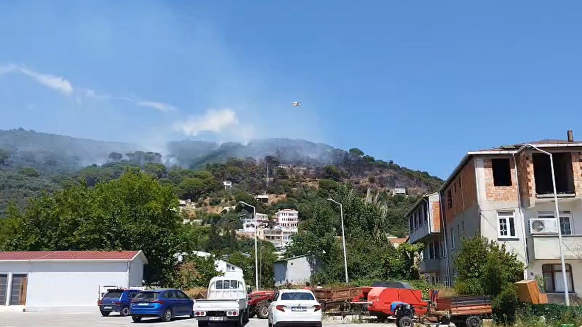 Marmara Adası’nda orman yangını