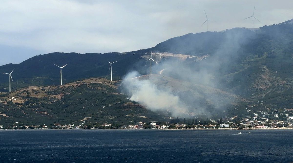 Marmara’da orman yangınına neden olan şüpheli gözaltına alındı
