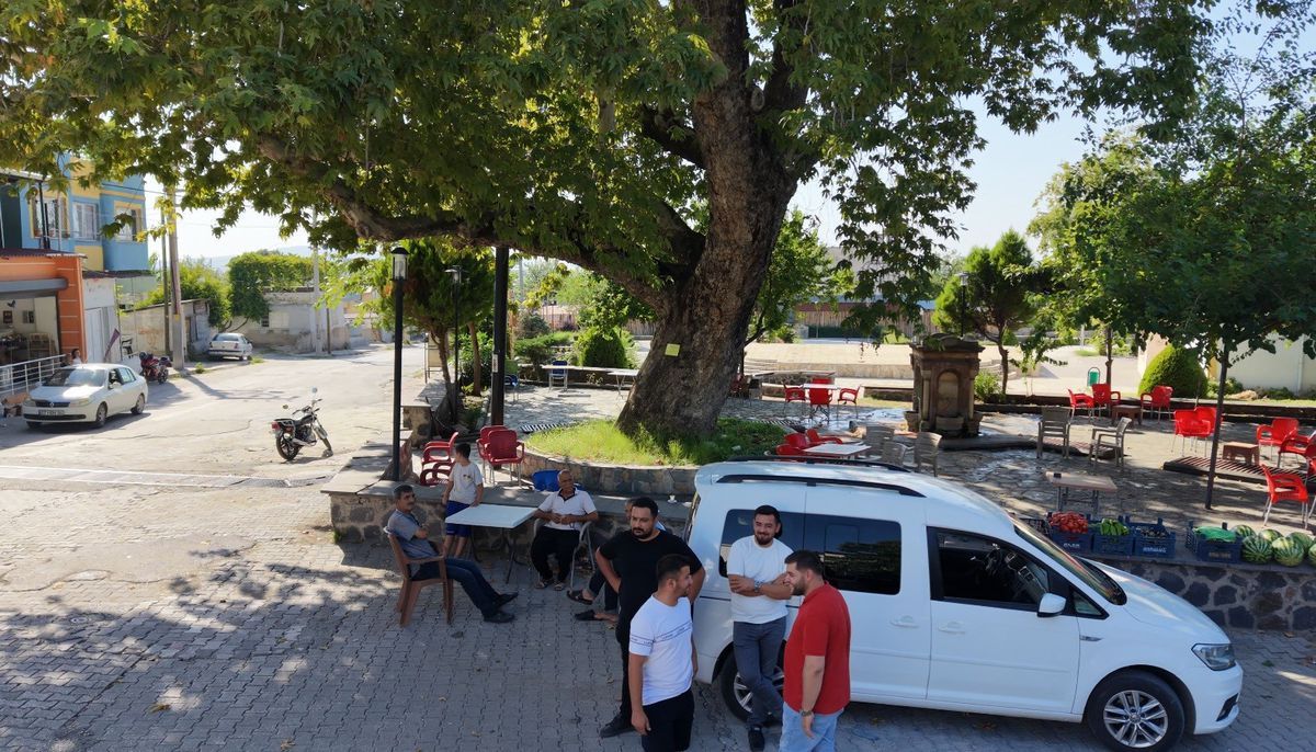 Osmaniye’de 260 yıllık çınar yaz sıcağında doğal klima oluyor