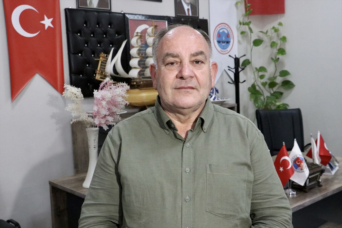 Sakarya'da sahipsiz köpeklerin toplatılması şikayetleri azalttı
