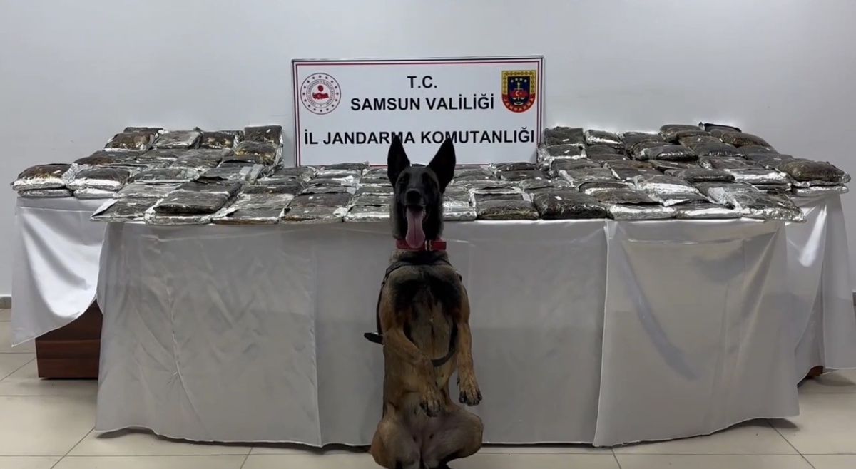 Samsun’da tıra gizlenmiş 132 kilo toz esrar ele geçirildi