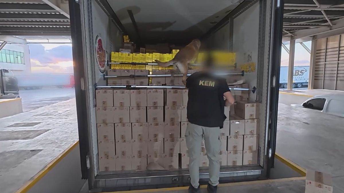 Silivri’de narkotik operasyonu: 376 kilo uyuşturucu ele geçirildi