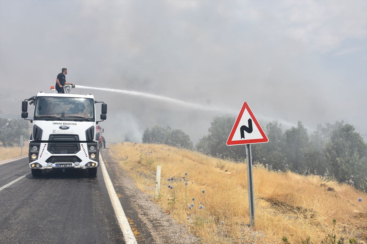 Şırnak'ta ormanlık alana sıçrayan yangına müdahale ediliyor