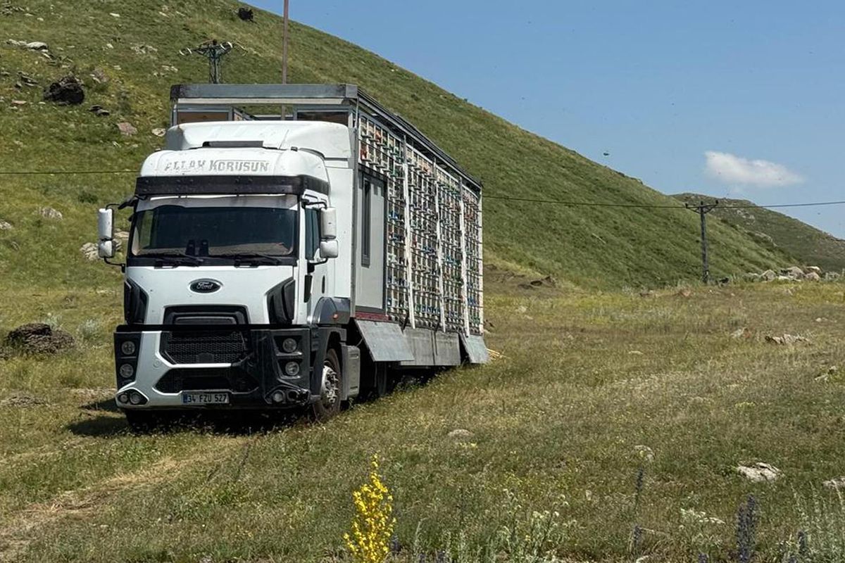 Türkiye'de bir ilk! Tır dorsesini mobil bal fabrikasına çevirdi