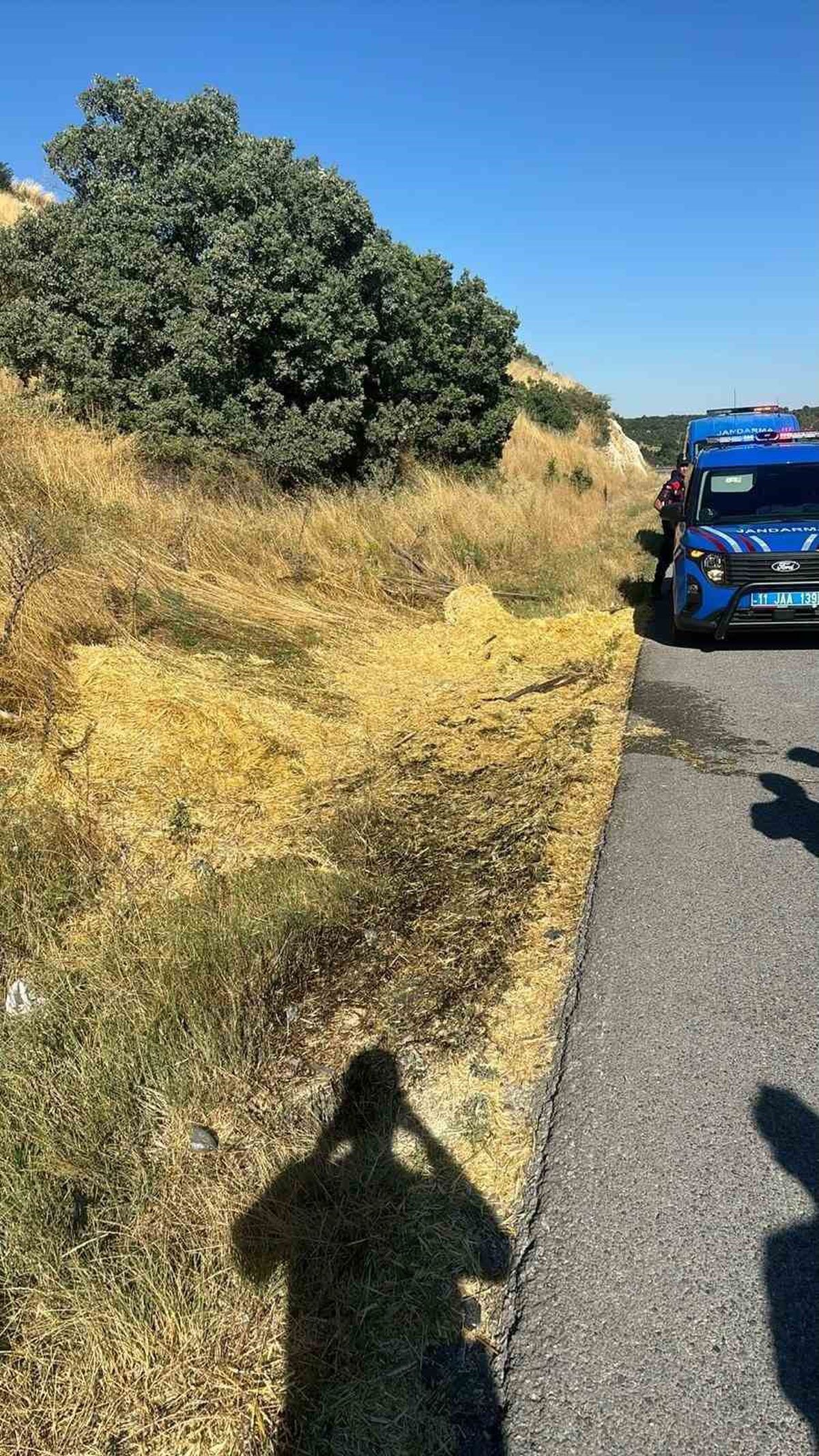 Yol kenarına atılan sigara izmariti yangına neden oldu