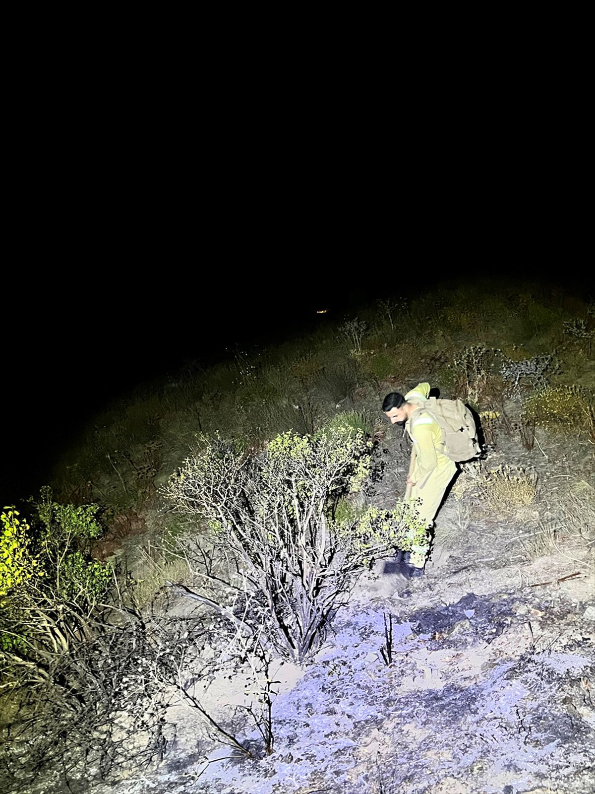 Yüksekova'da dağlık alanda çıkan yangın kontrol altına alındı