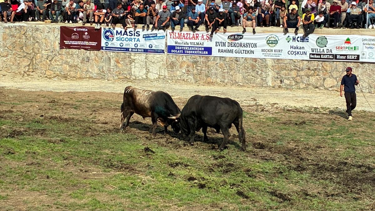 Yusufeli'de Salikvan Yayla Festivali yapıldı