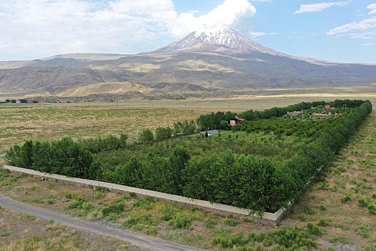 Ağrı Dağı'nın yakınlarındaki çorak araziye kurulan bahçede meyve hasadı yapıldı