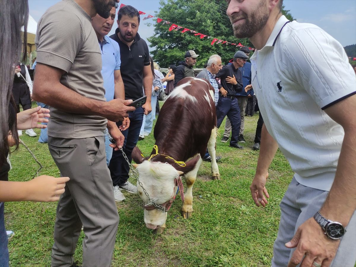 Ardahan'da '2. Kültür ve Sanat Festivali' düzenlendi