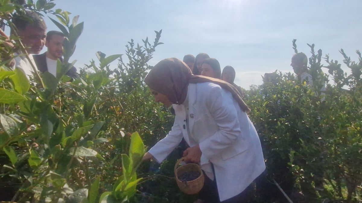 Bakan Göktaş açıkladı, şehit aileleri ve gazilere yönelik haklar genişliyor