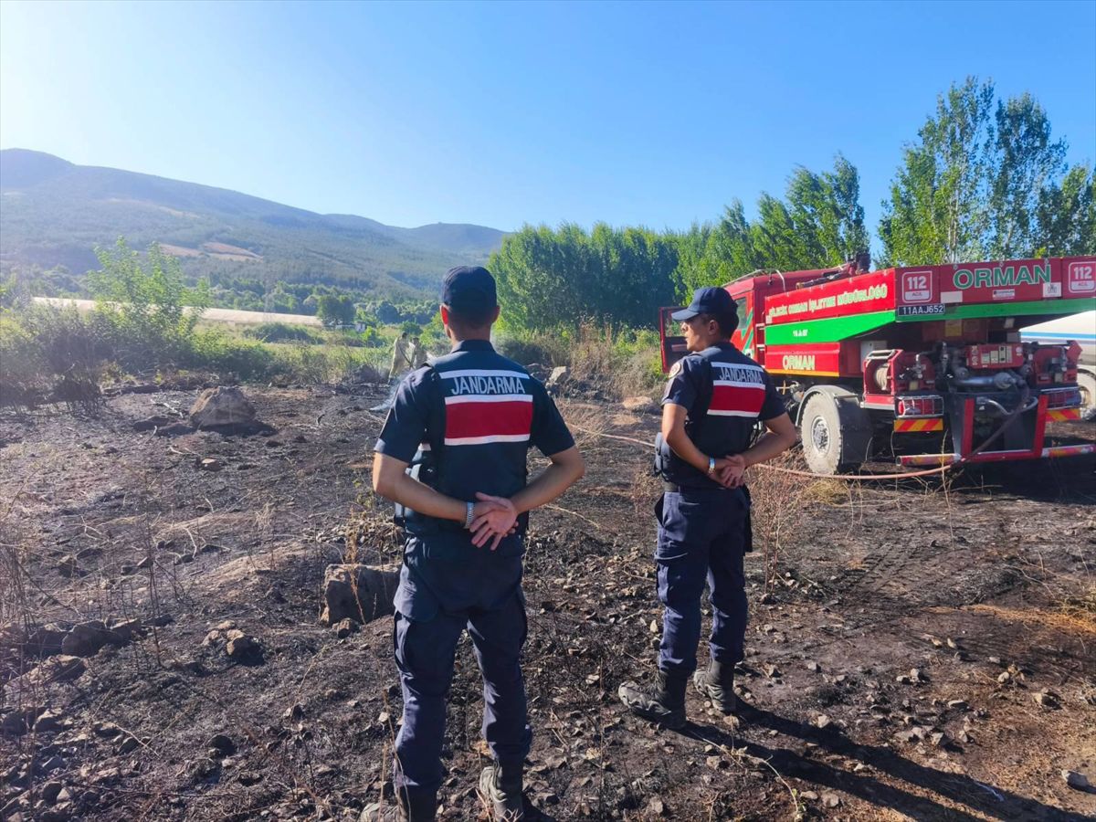 Bilecik'te örtü yangını söndürüldü