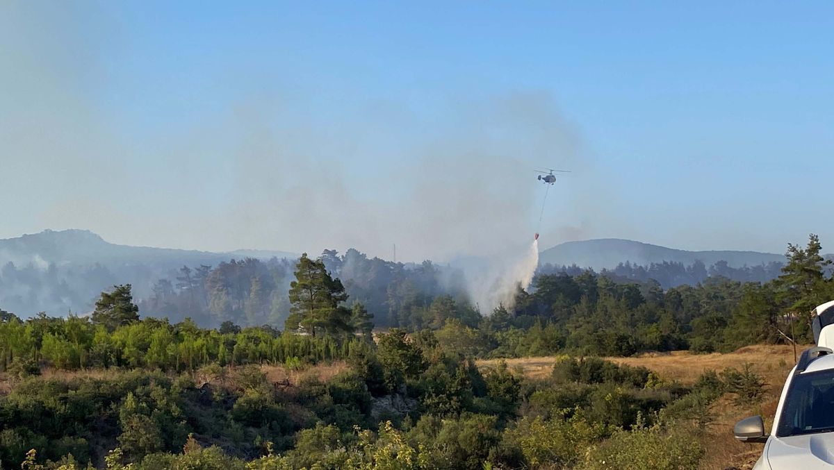 Çanakkale'de orman yangını