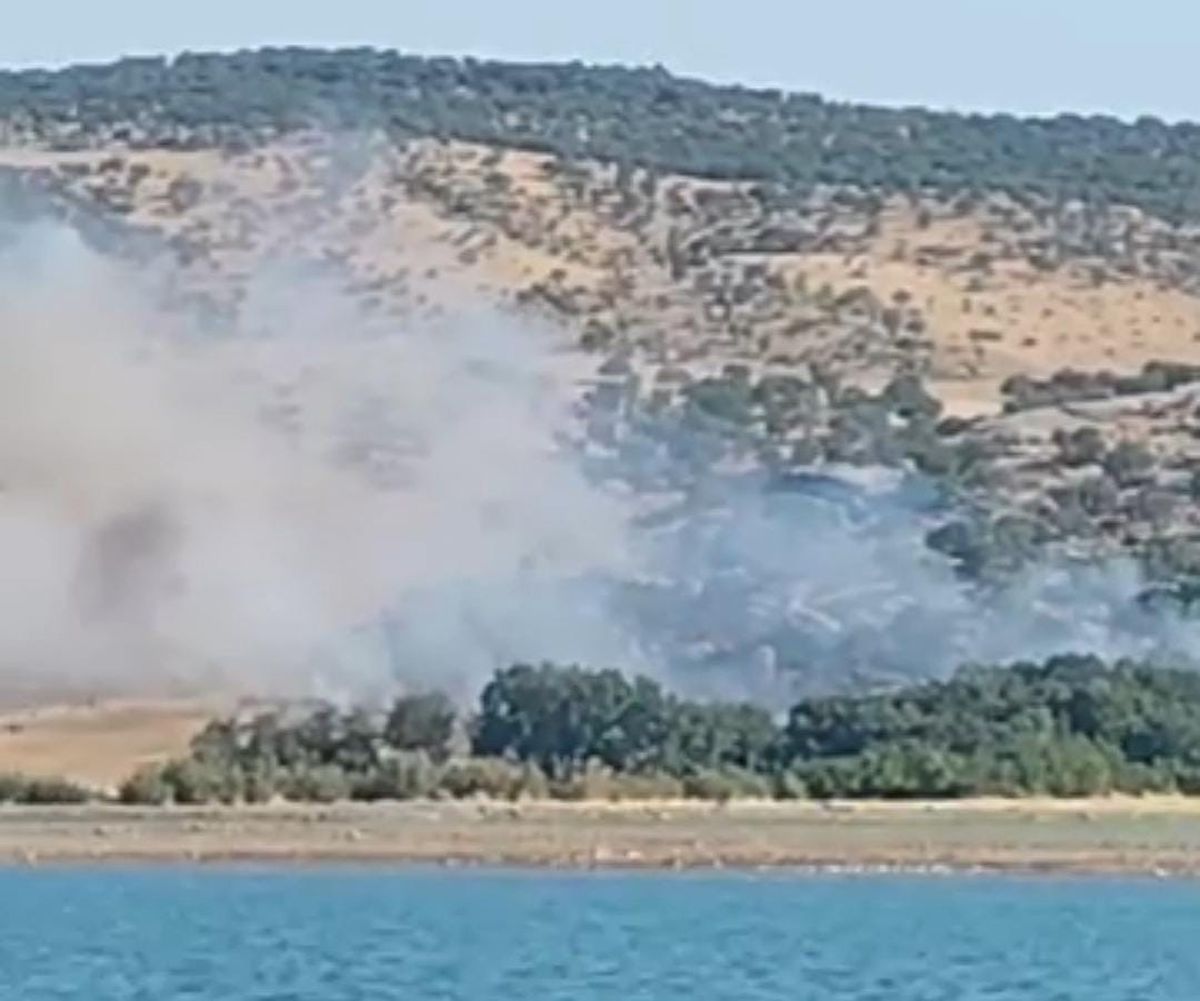 Diyarbakır’da ağaçlık alanda yangın
