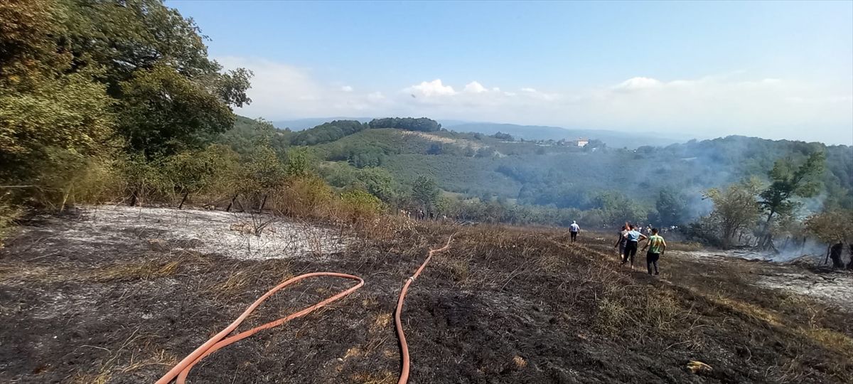 Düzce'de fındık bahçesinde çıkan yangın ormana sıçramadan söndürüldü