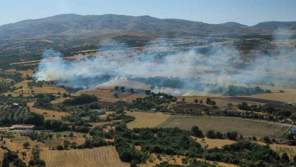 Elazığ’da anız ve bahçe yangını