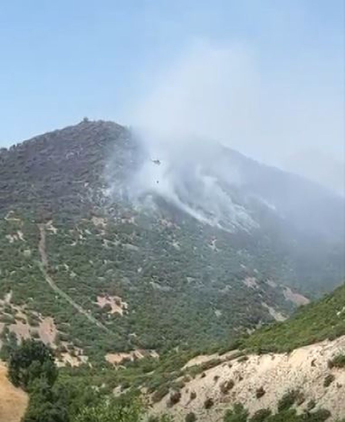 Elazığ'da orman yangını