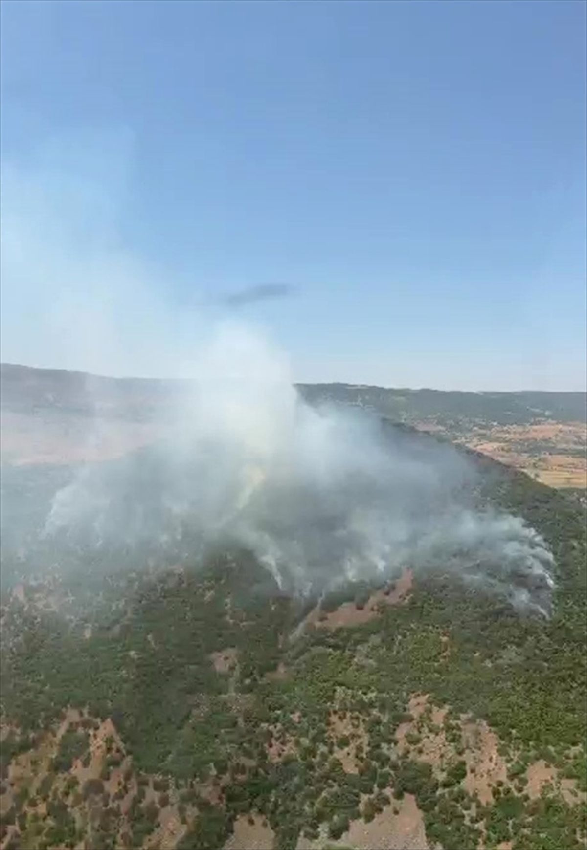 Elazığ'da ormanlık alanda çıkan yangın söndürüldü
