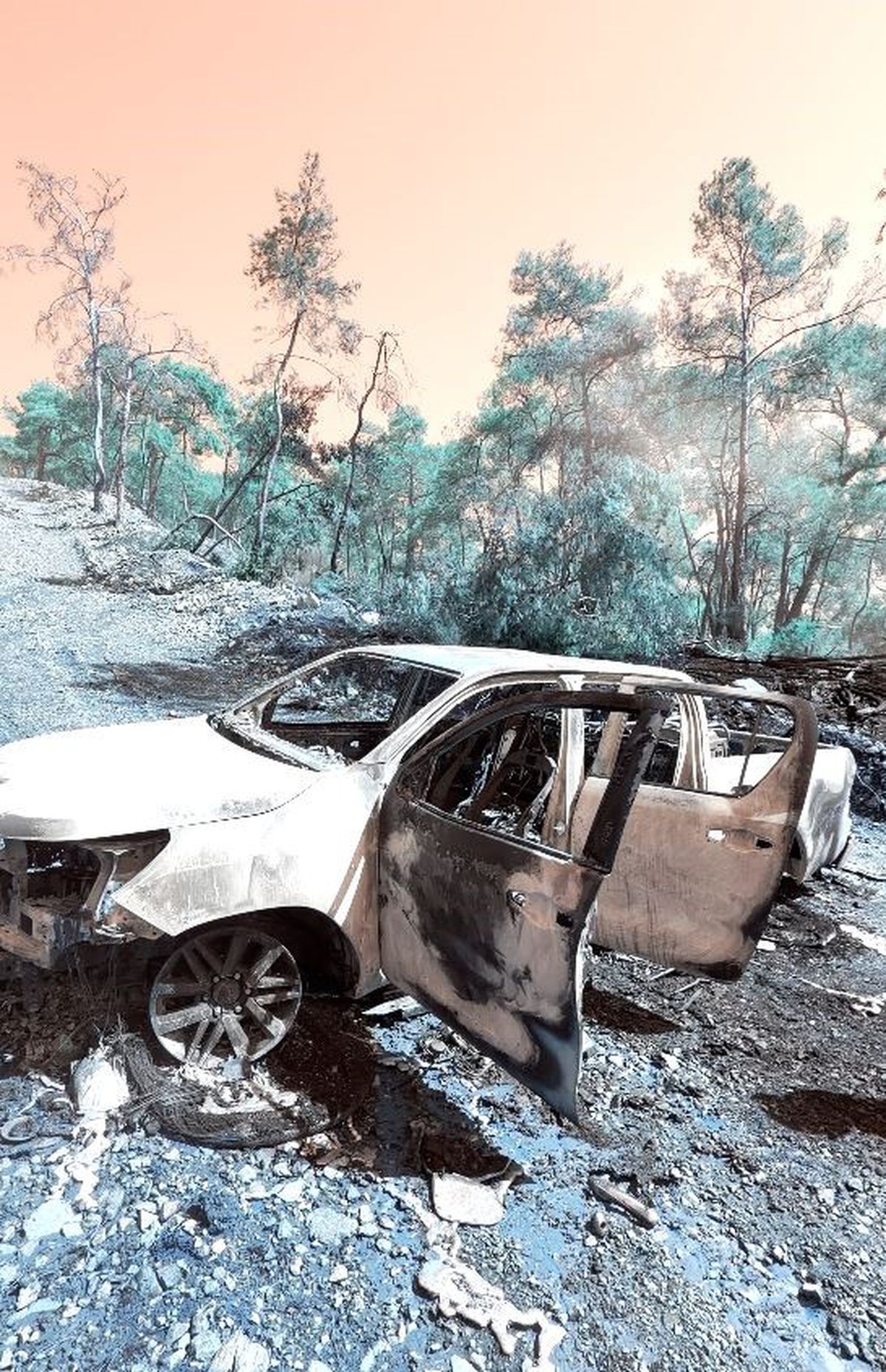 Fethiye’de korkutan yangın: Jeneratörden çıkan alevler ormana sıçradı